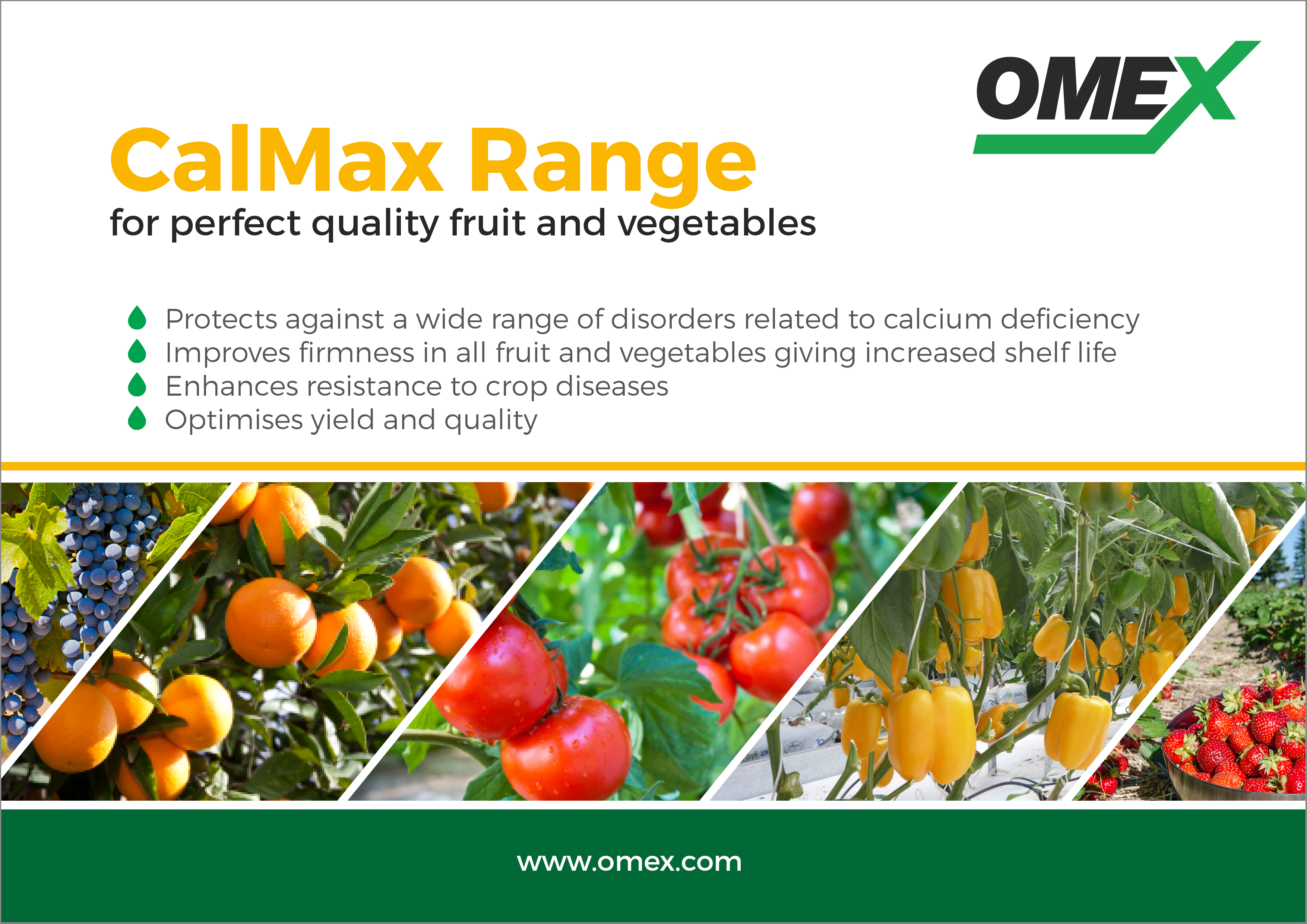 CalMax Brochure