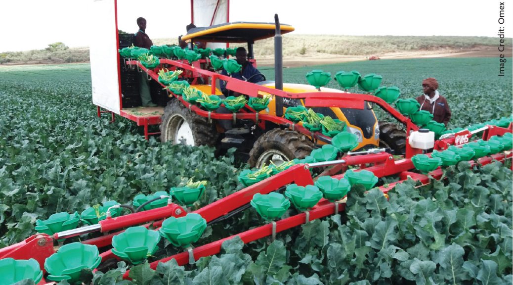 Foliar Feeding Vegetables in Africa’s uplands