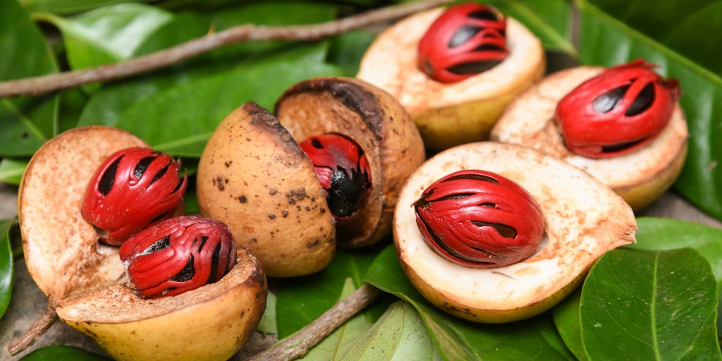 Nutmeg and mace under threat