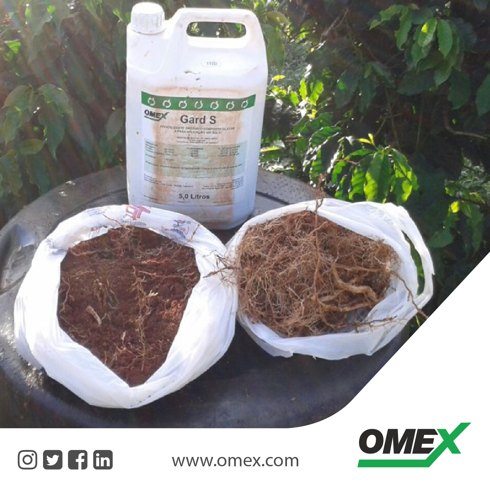 Gard-S the environmentally sound option to pests!