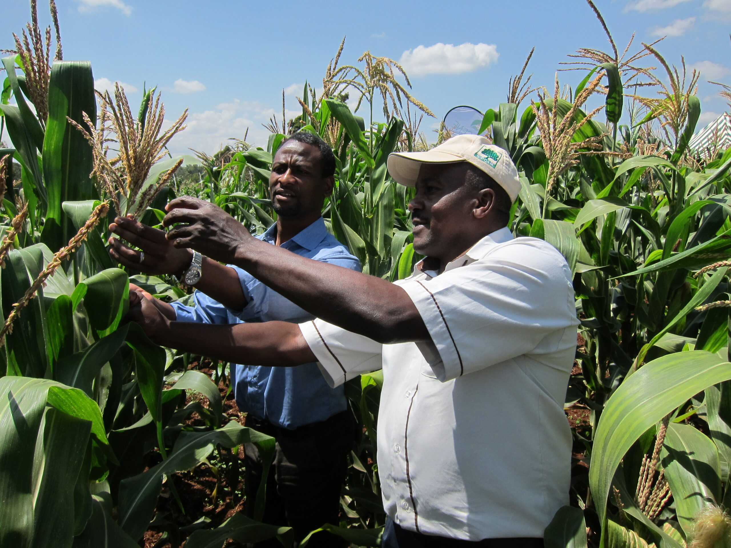 Welcome to OMEX Agrifluids 1st Newsletter