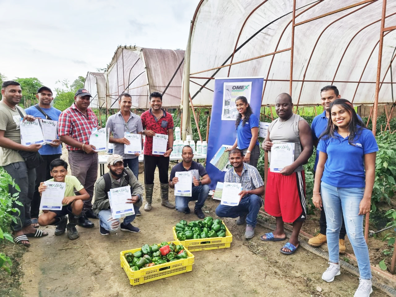 Growing with OMEX in the Caribbean