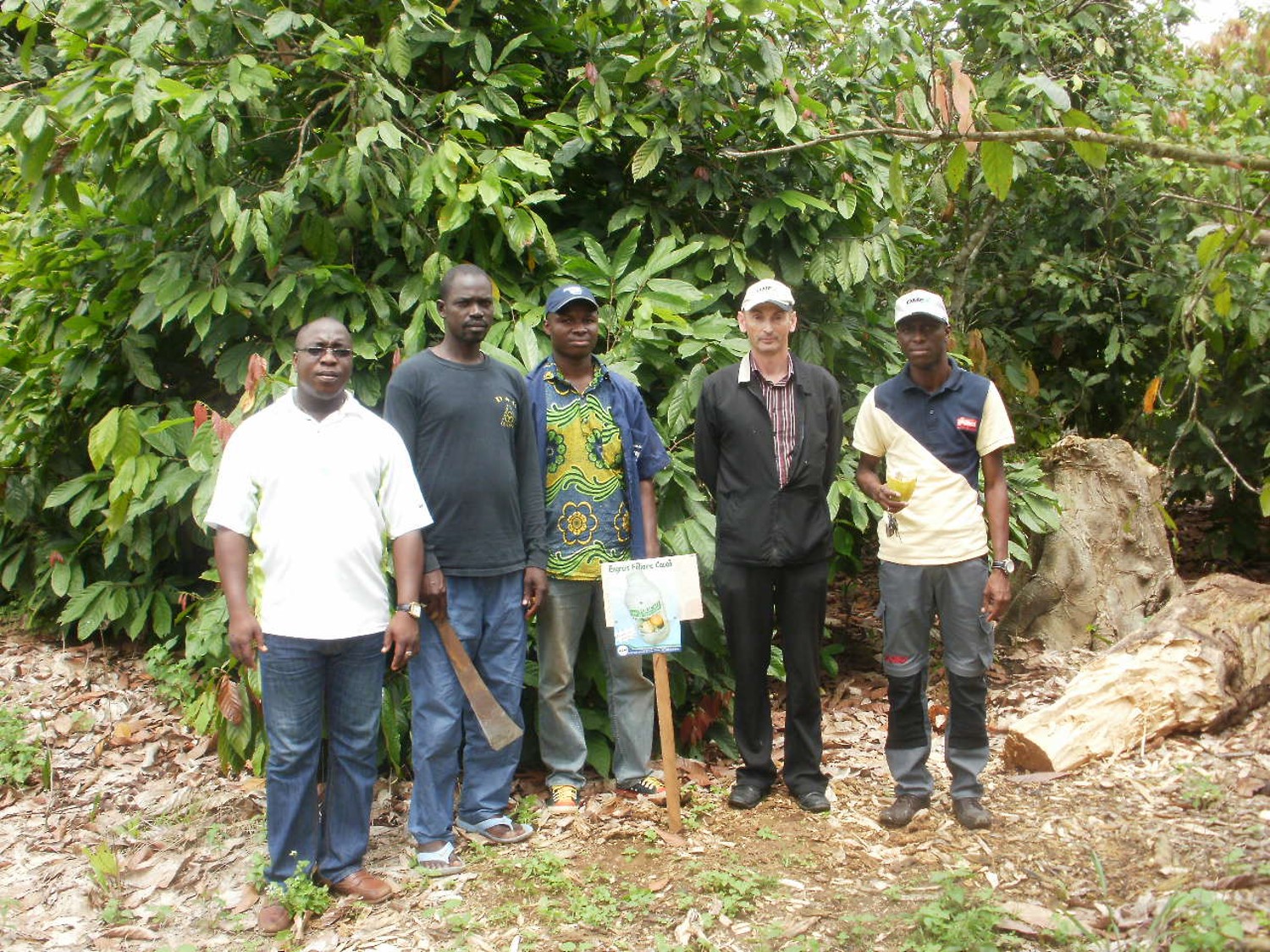 Improve quality & yield of cocoa beans with Folicao