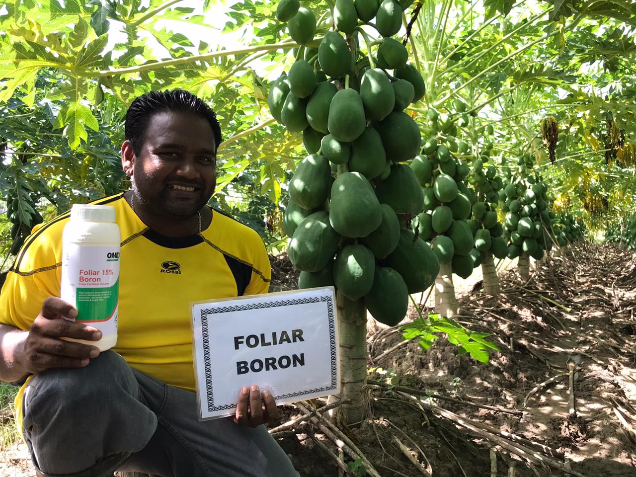 Problems with Boron Deficiency?