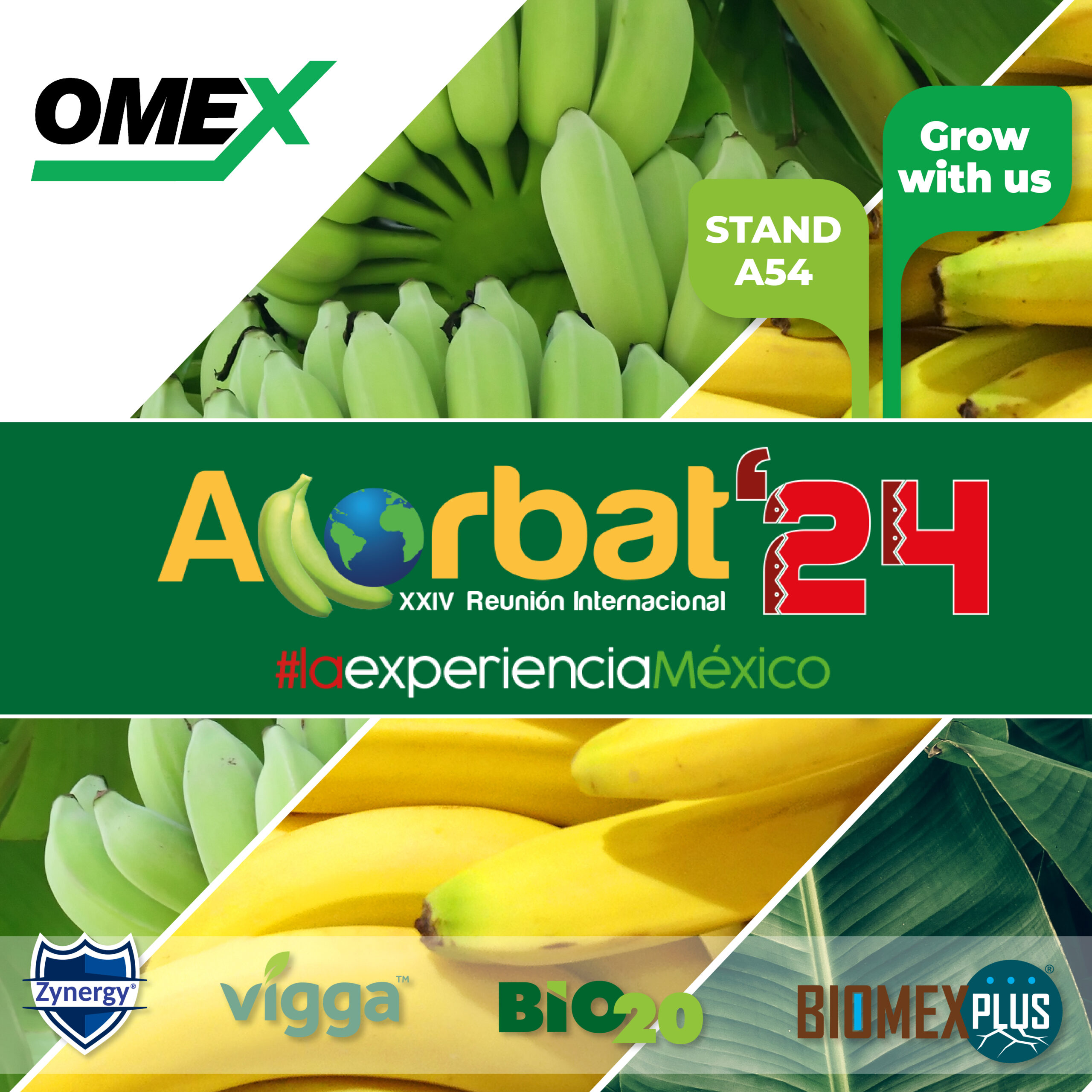 Join us at the world’s most important Banana Congress