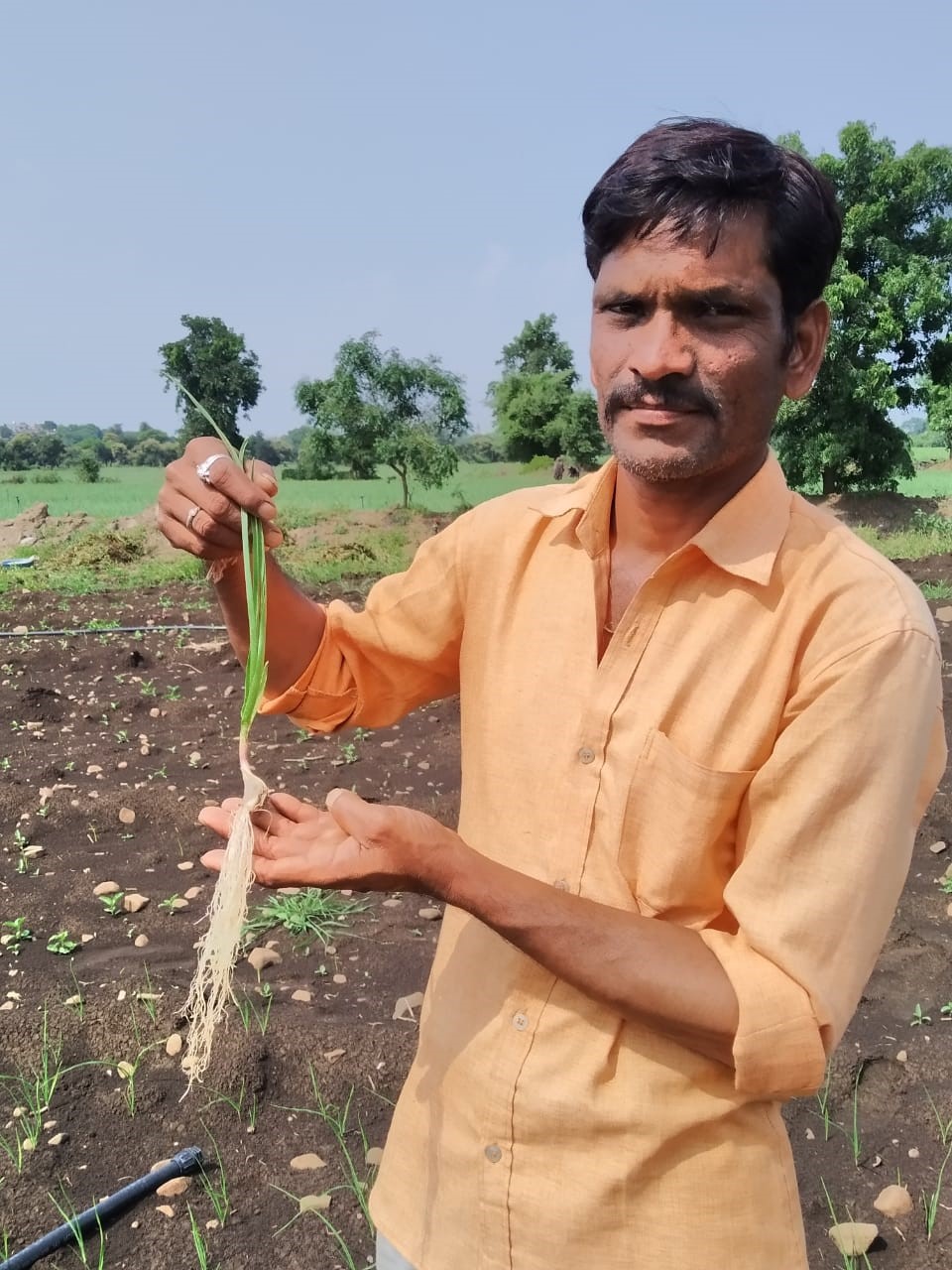 OMEX programme rewards garlic growers in India