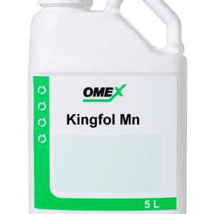 Kingfol Manganese