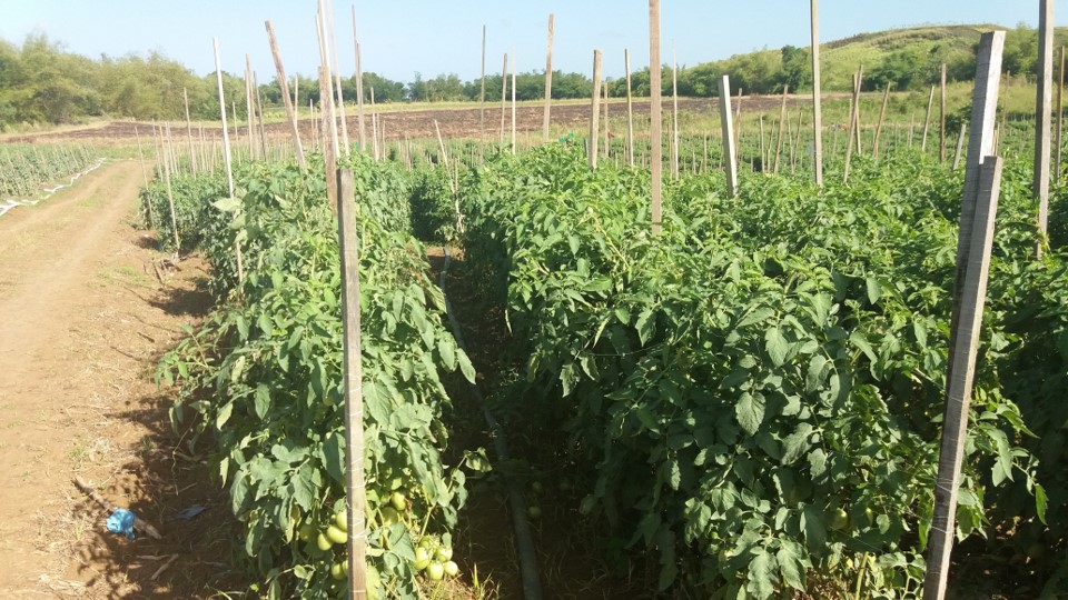 University trials confirm CalMax is an excellent source of calcium 🎓