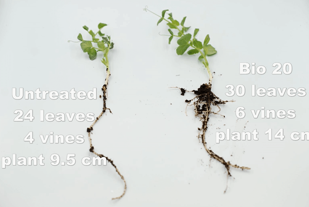 Learn about the advantages of using Bio 20 🌱