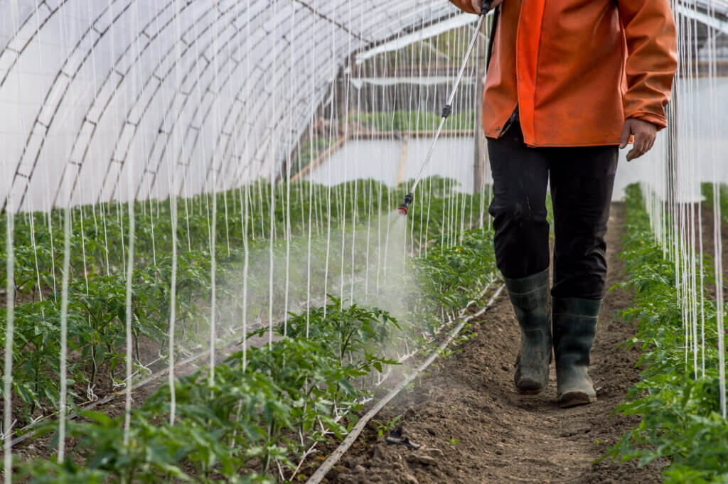 Explore the benefits of foliar feeding 🌿🚿