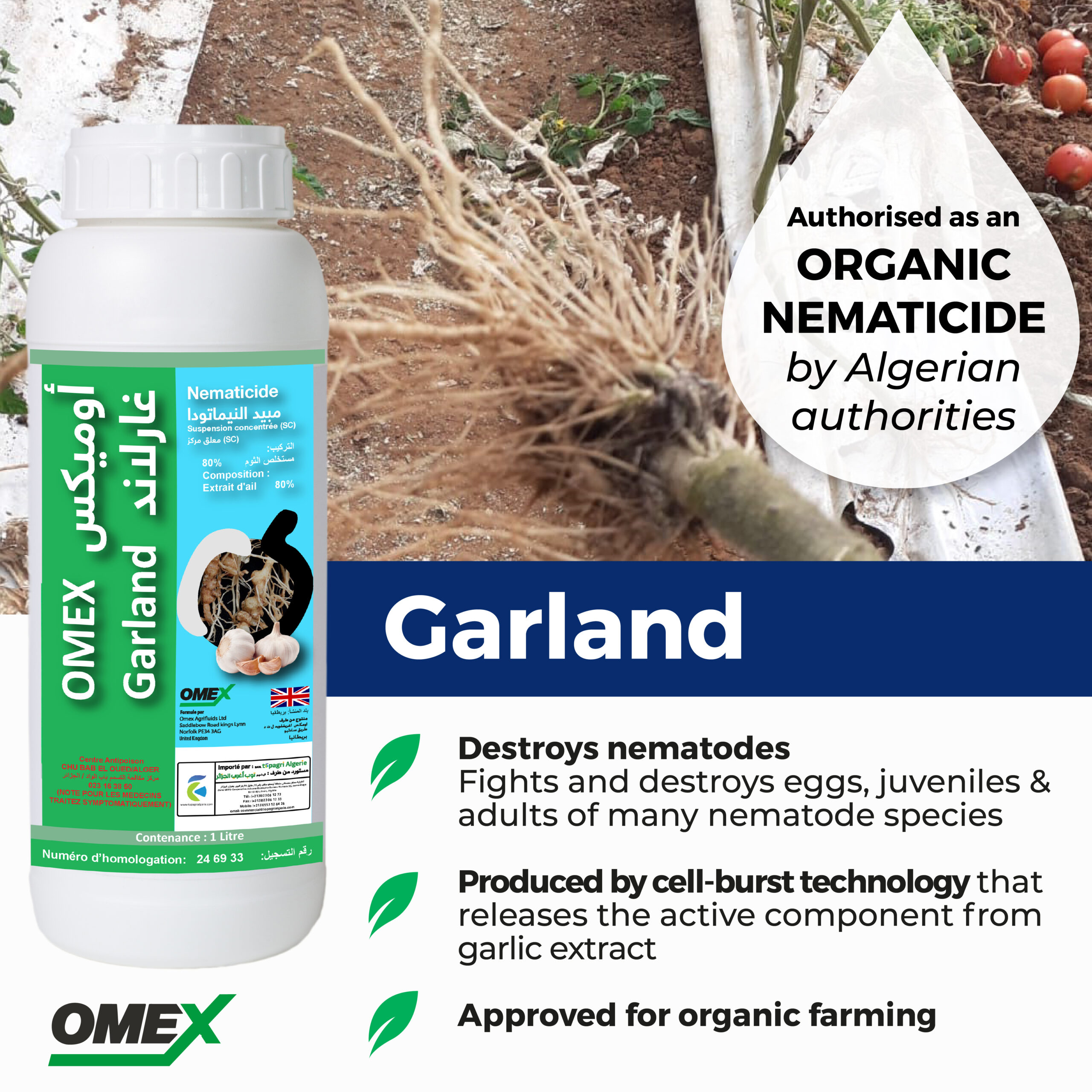 Garland authorised as an ORGANIC NEMATICIDE by Algerian authorities