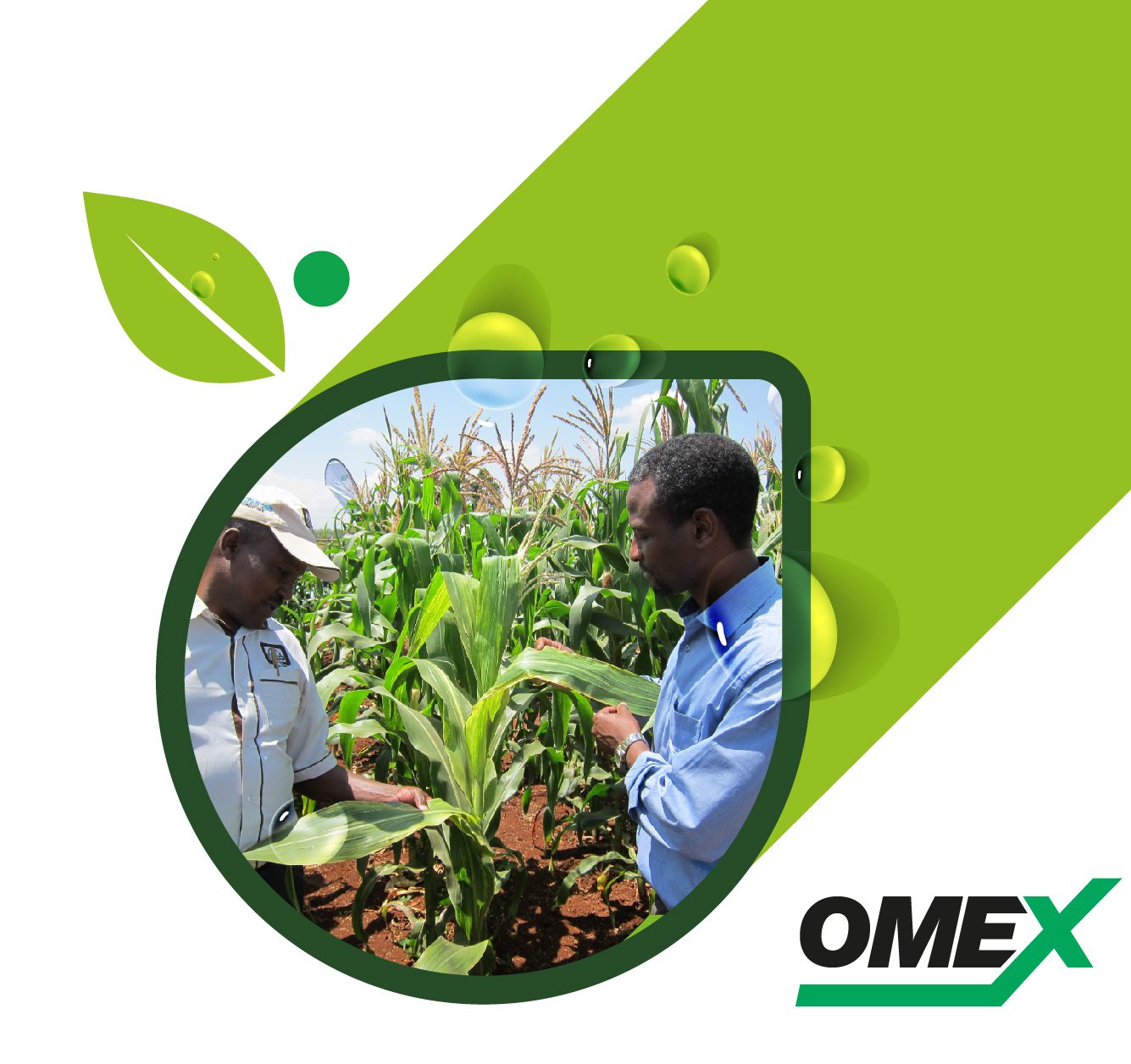 Welcome to OMEX Agrifluids 1st Newsletter