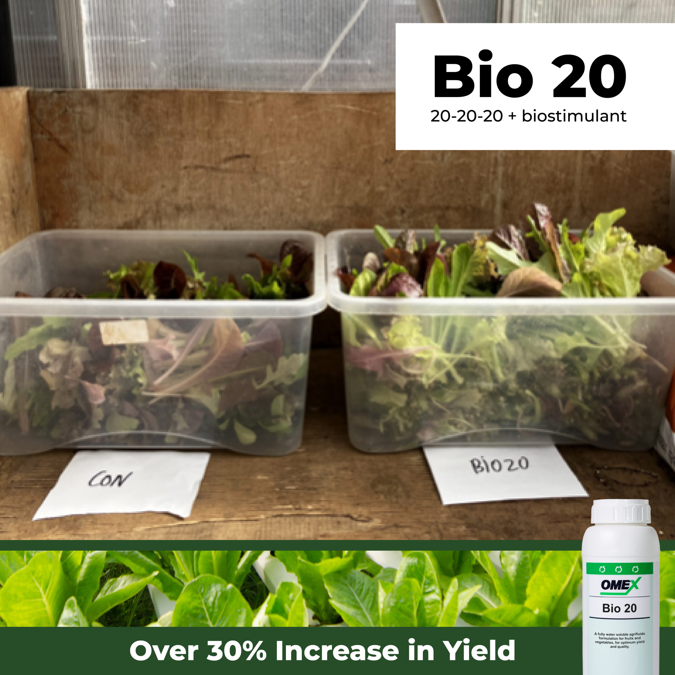 Bio 20 Trial: Leafy Greens
